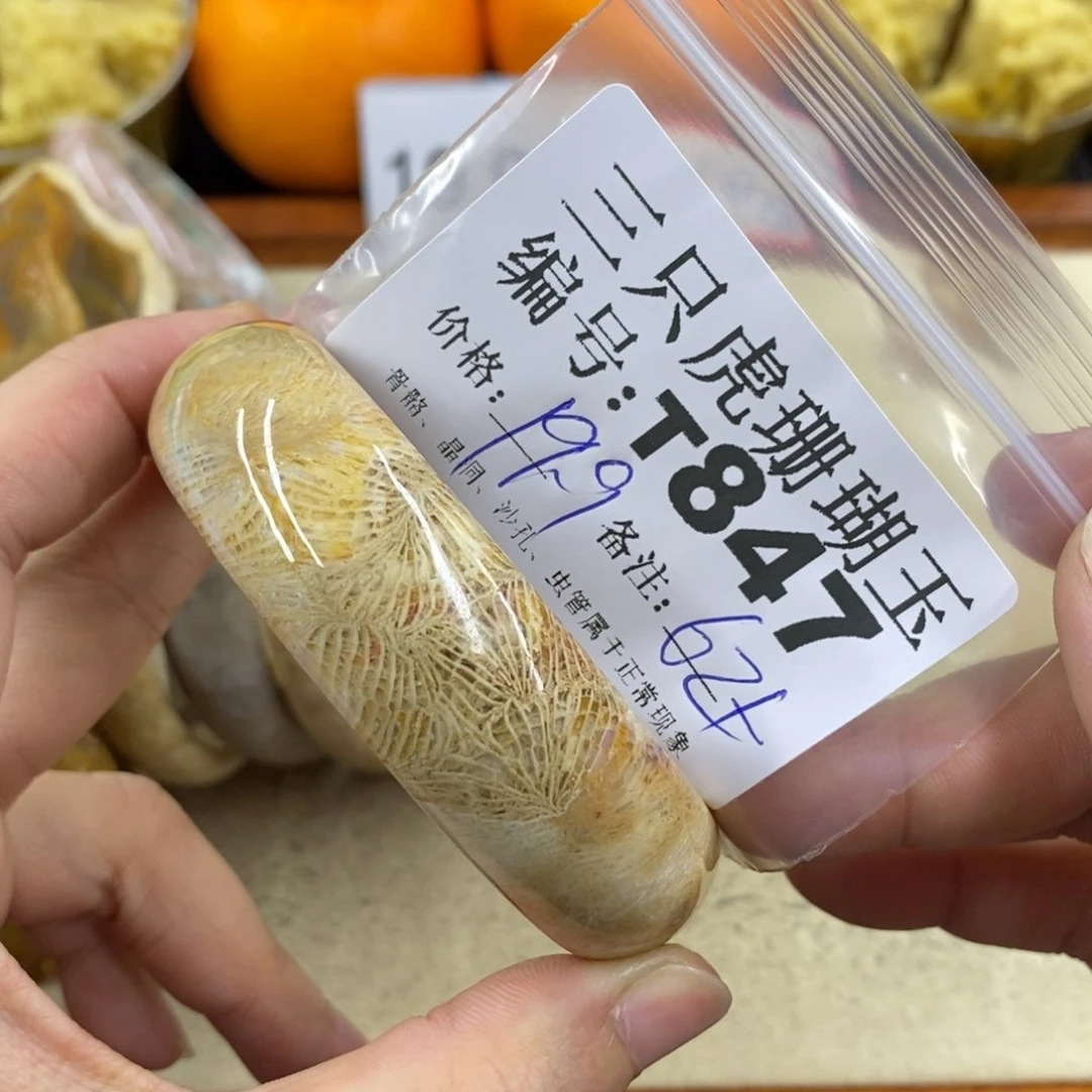 硅化珊瑚（珊瑚玉）1未镶嵌楠*素