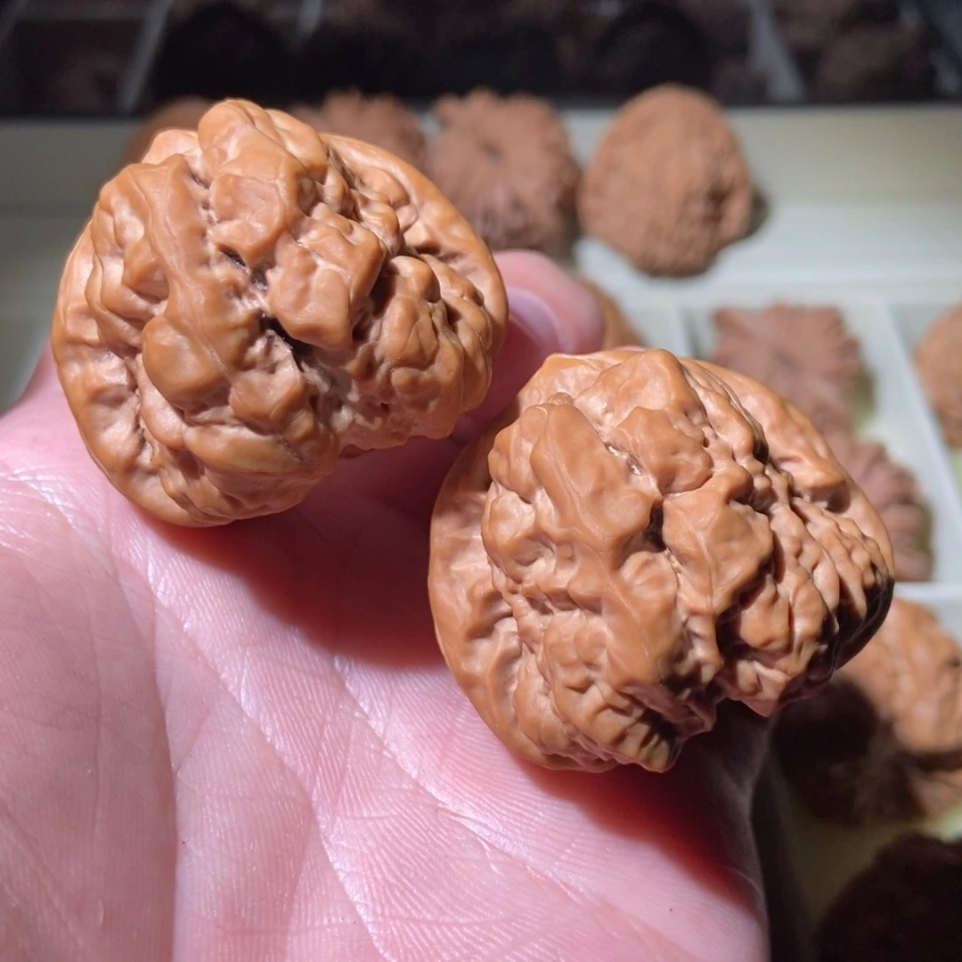 文玩核桃把件2****241蛤蟆