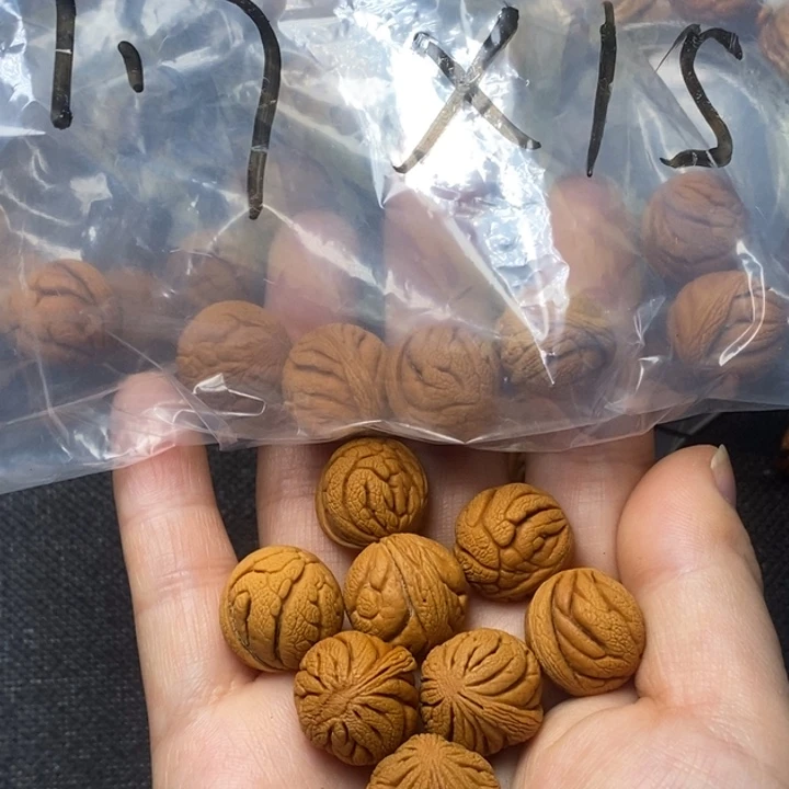 木质类秦岭山野生桃核