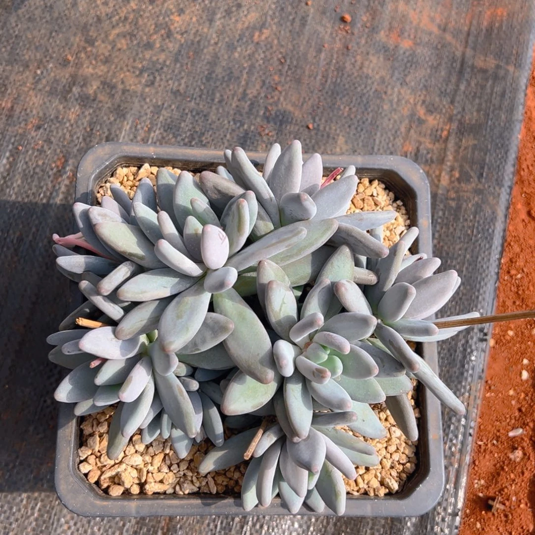 111611111111111111111111