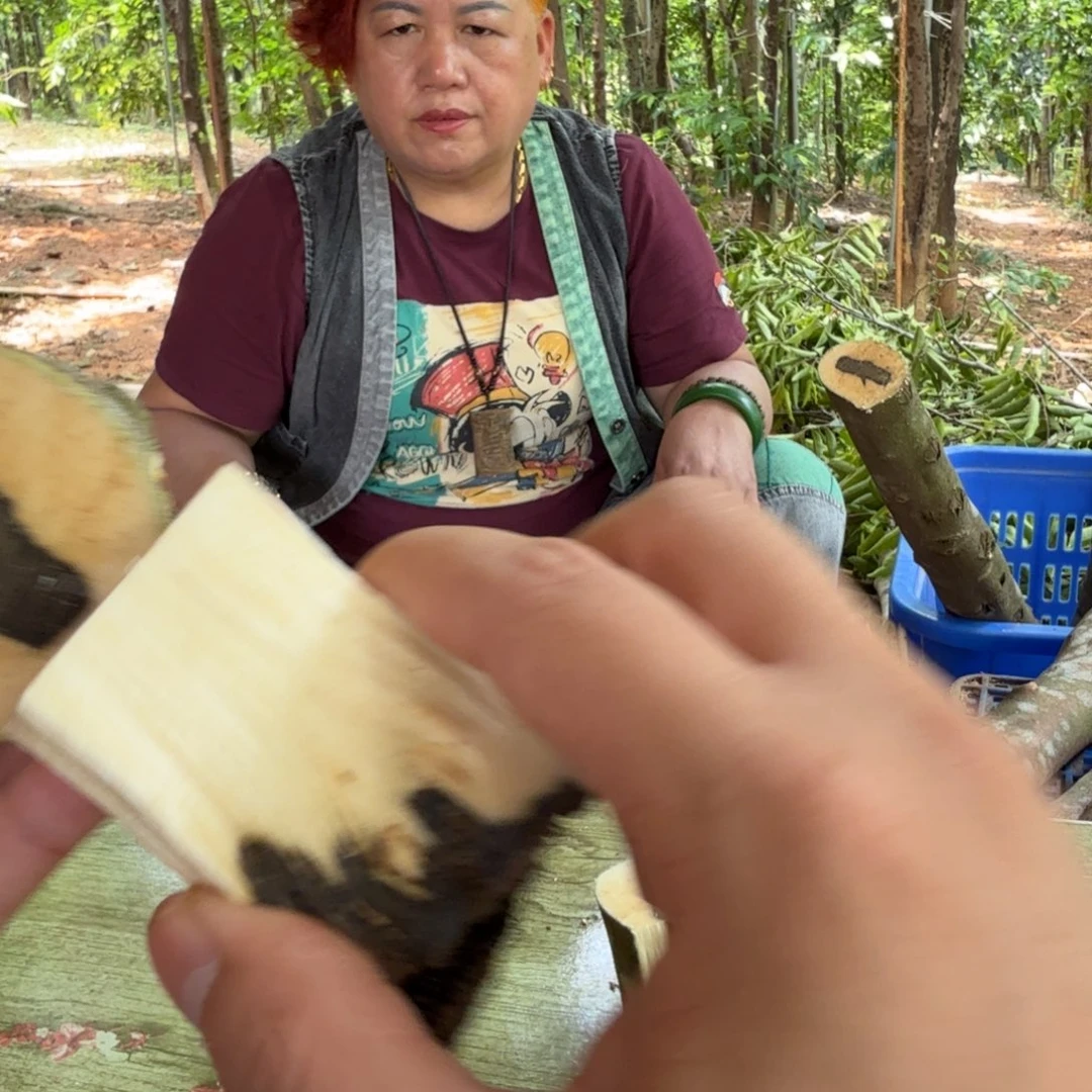 线香奇楠沉香原木