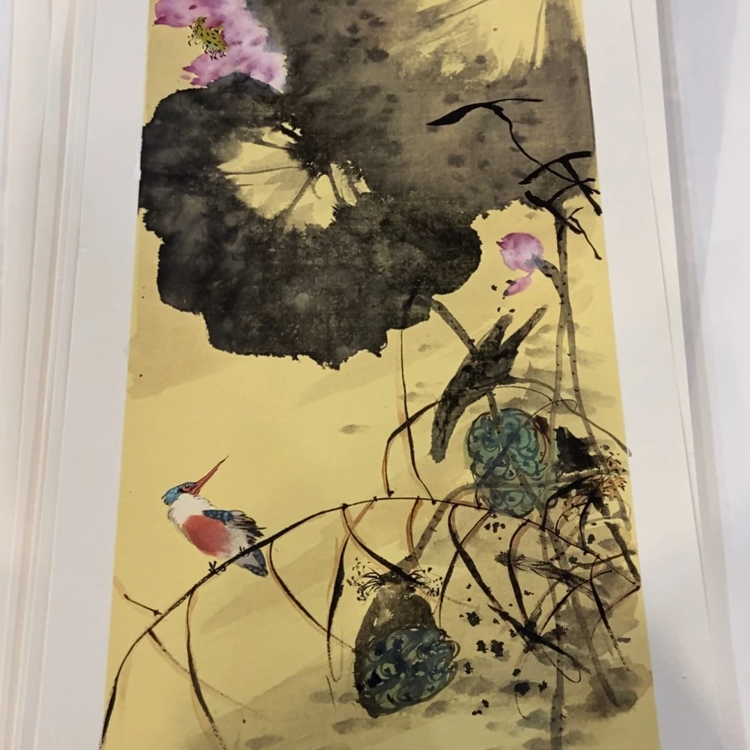 【闪购商品】国画乐*墨鱼精品墨鱼精品