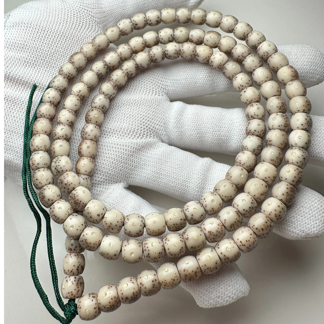 星月菩提 同枝果 海南原生态  间歇火烧云 高密 细星 均匀 高级灰