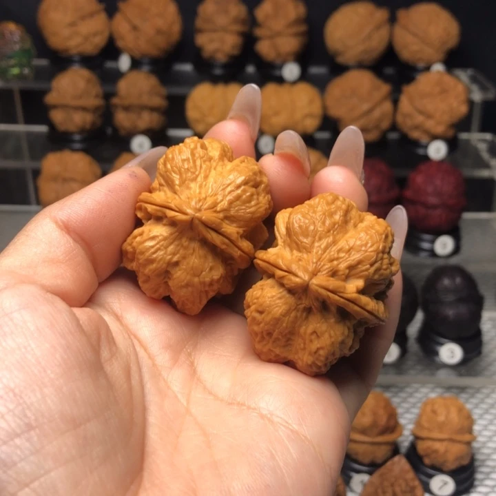 橄榄核吊坠23霸王龙脊