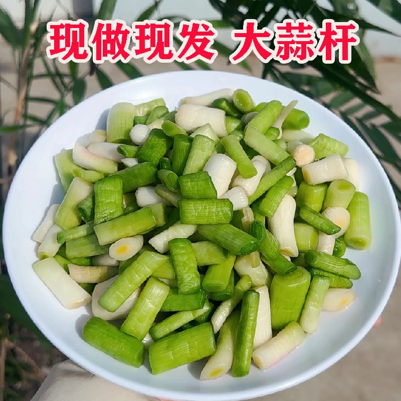 腌大蒜杆农家清脆咸大蒜梗子当季咸大蒜梗盐大蒜无防腐剂无色素
