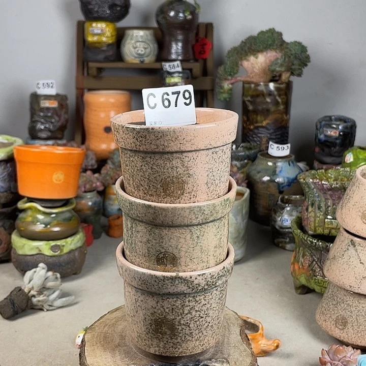 紫砂花盆开播福利 陶瓷花盆 默认微次 任意发一个