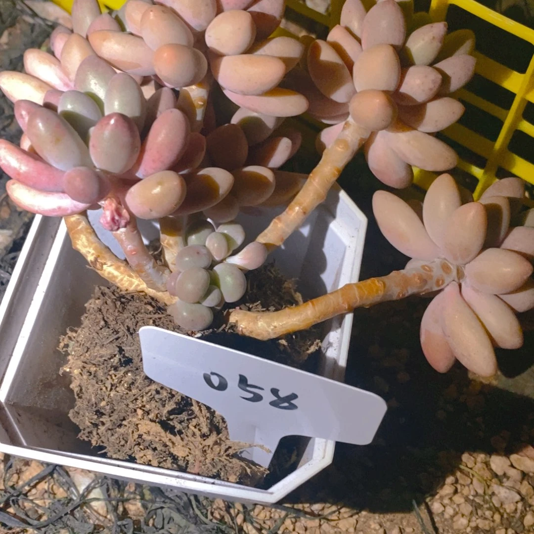 云*汐058号出的国际公法