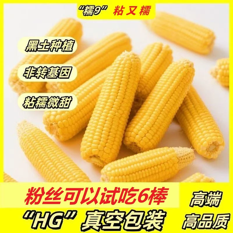 下单多送4棒！共14棒东北黄糯玉米黄金糯九小棒单棒220g介意别拍！！