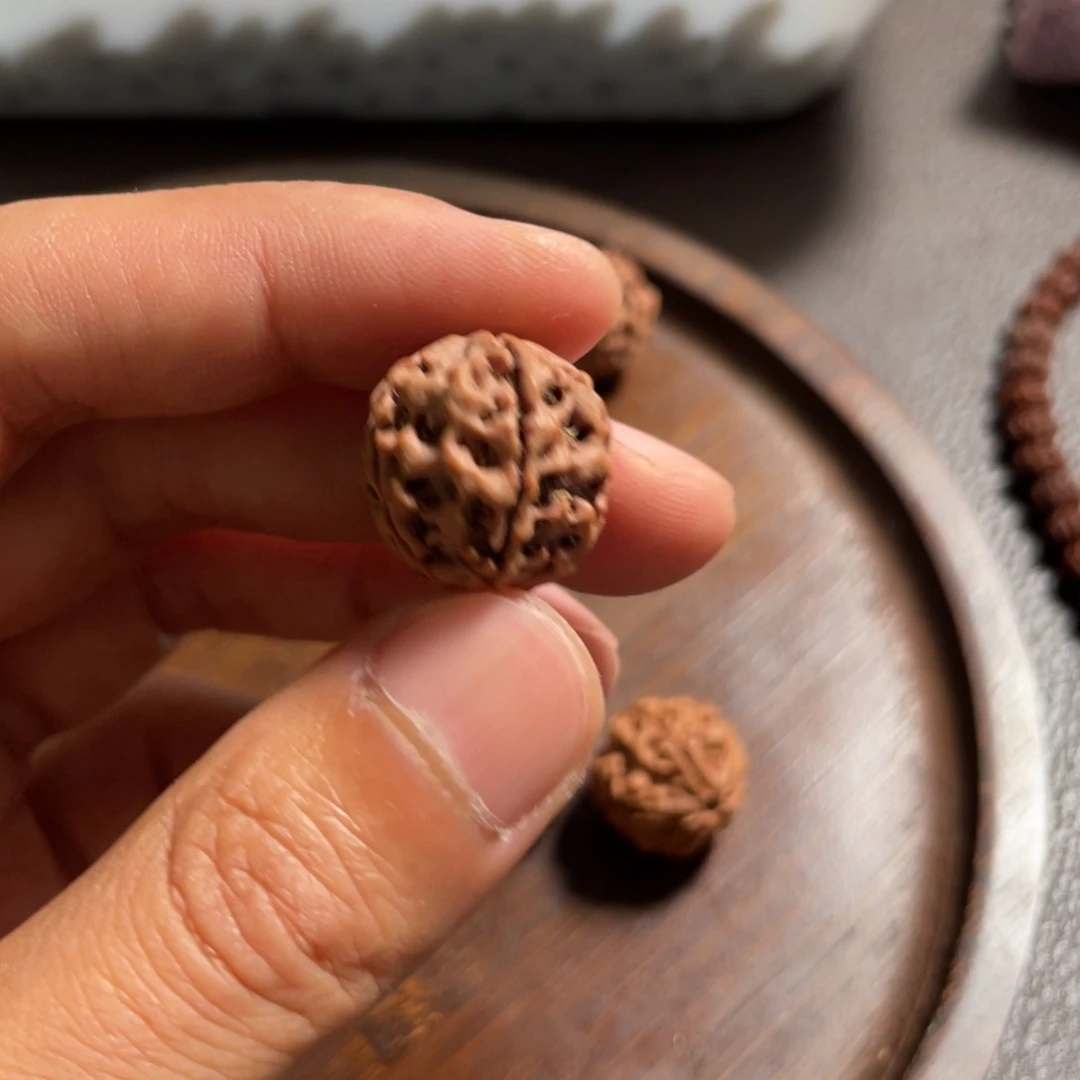 吊坠金刚菩提原生态大金刚菩提散籽
