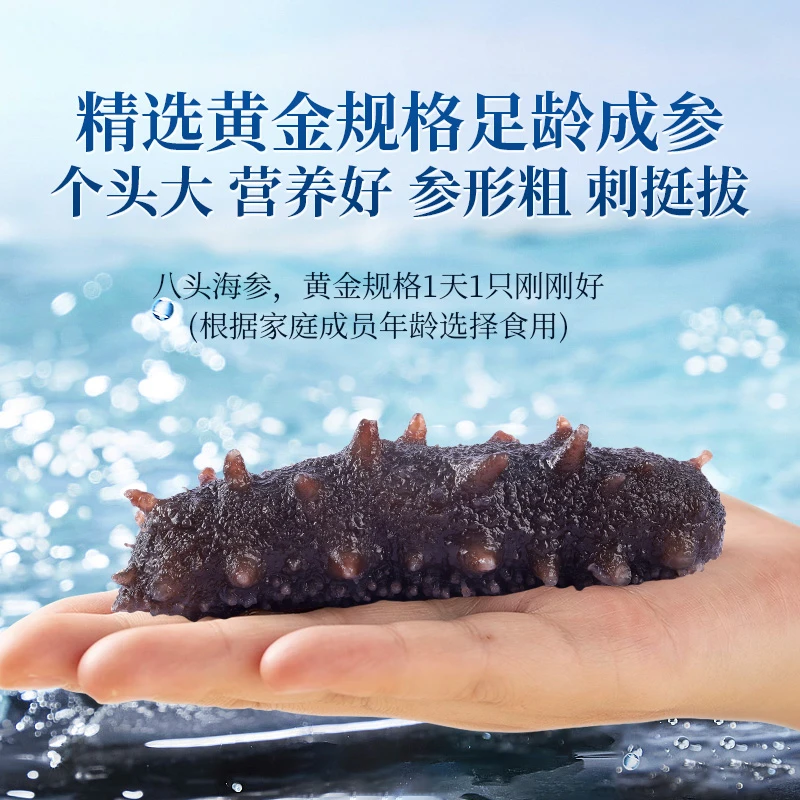 品荏堂即食海参大连辽参