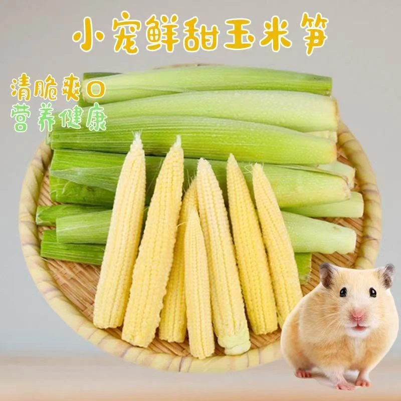 仓鼠零食鲜甜玉米笋躺手神器兔子豚鼠蔬菜辅食花枝鼠幼崽仓鼠食粮
