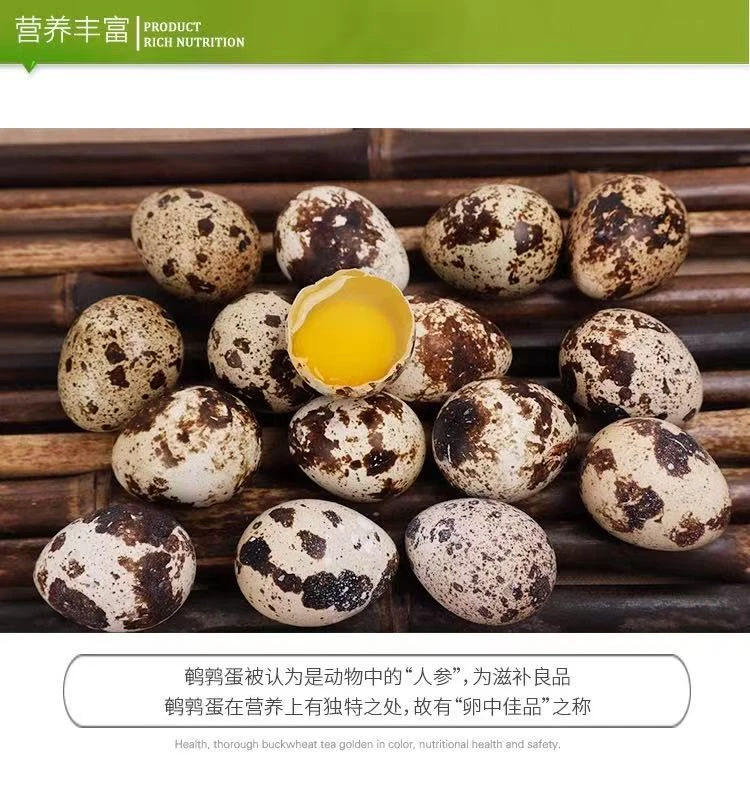 新鲜现捡鹌鹑蛋农家特产绿色营养辅食