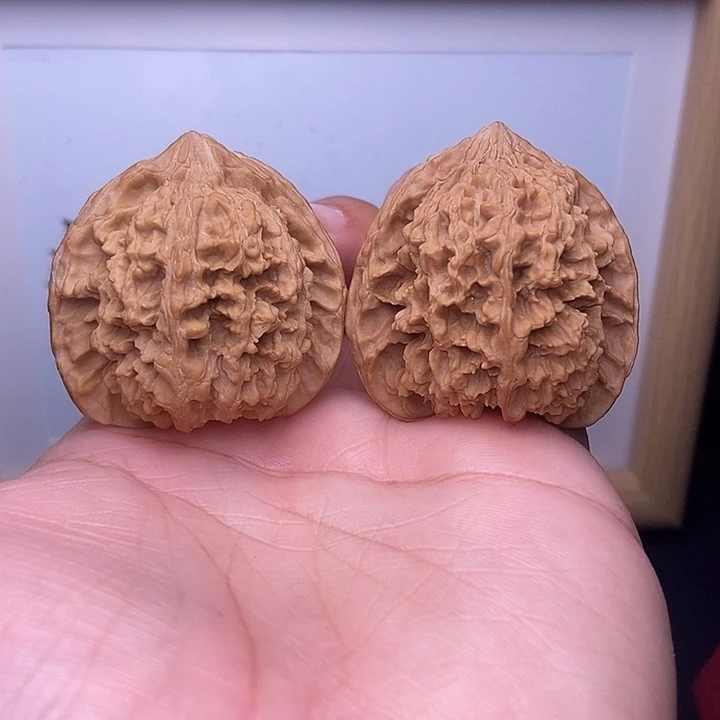 核桃全品满天星星