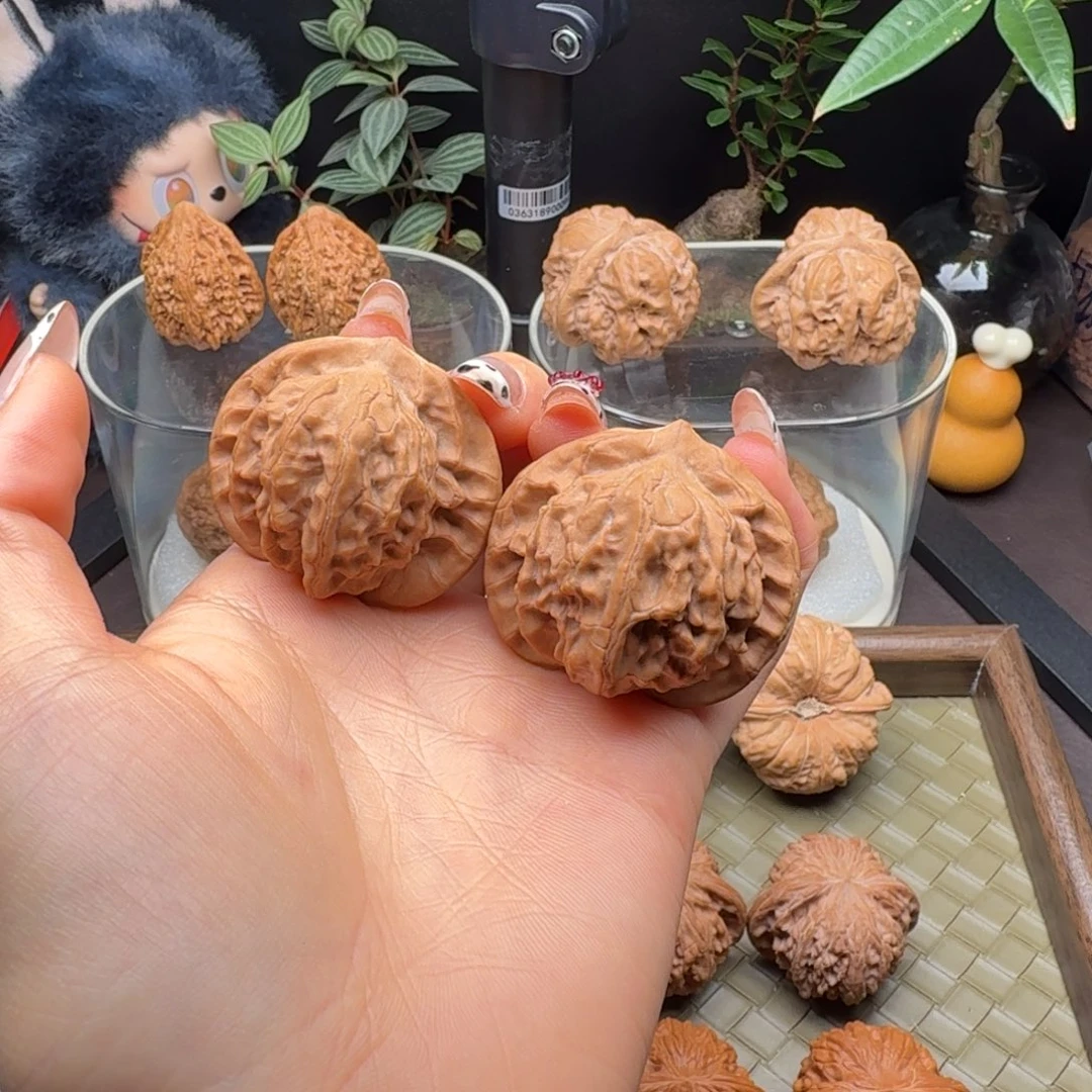 龙脊菩提把件全品图图42