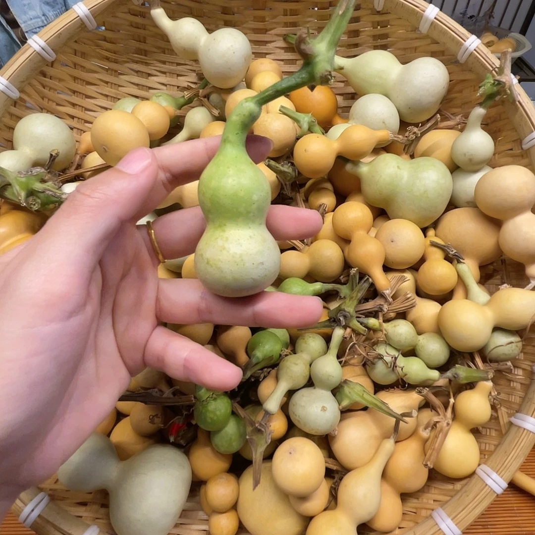 十*葫芦娃葫芦娃葫芦娃