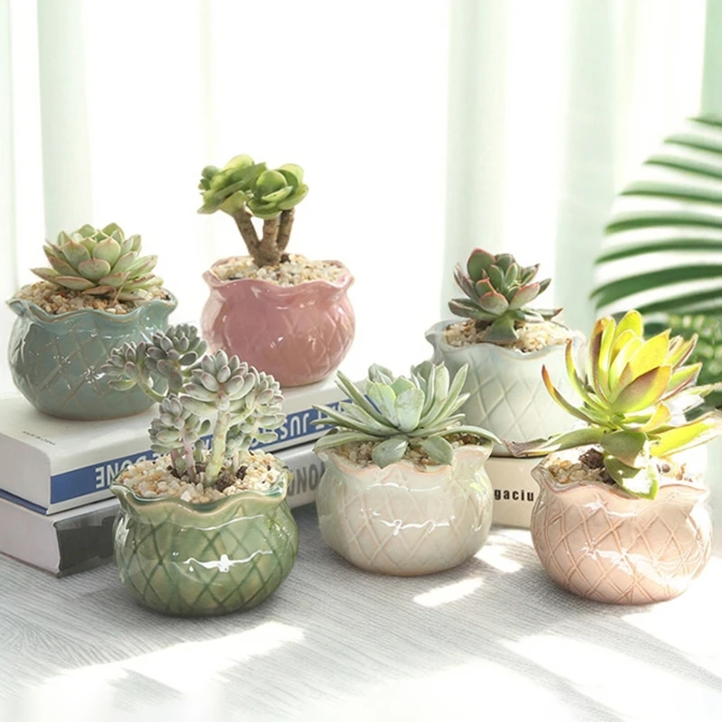 多肉花盆包邮透气粗陶小盆栽绿植物大小口径个性陶瓷盆器清仓捡漏