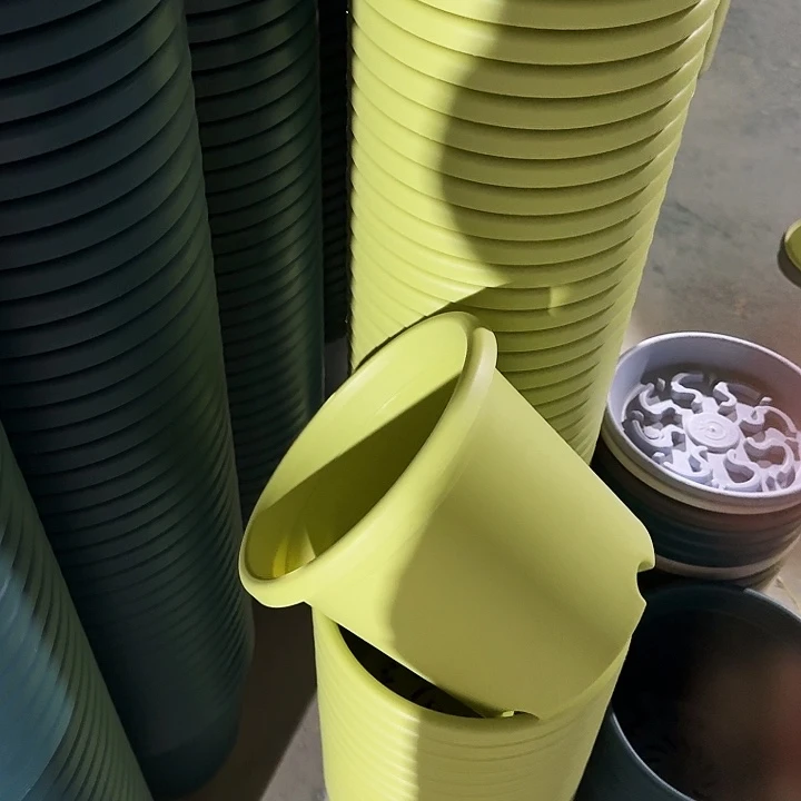 四季4号果绿无托10个特价微瑕