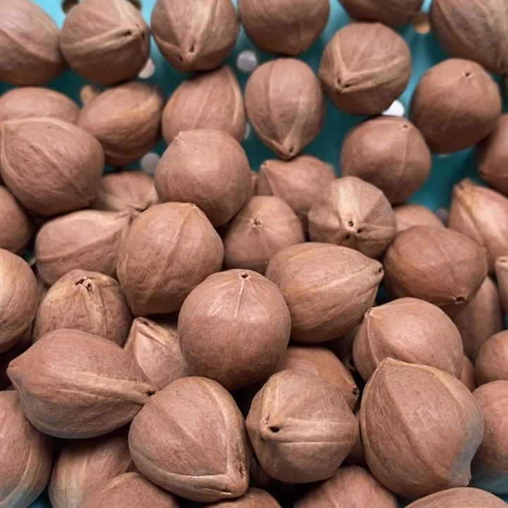 吊坠橄榄核白*一斤