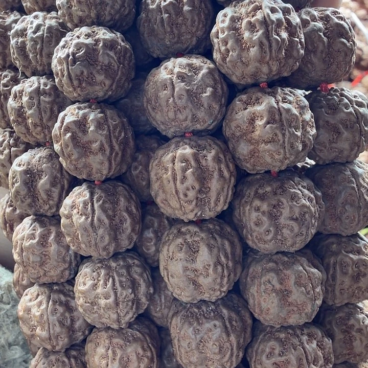 吊坠金刚菩提龙珠14-15