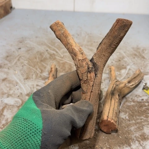 大果紫檀（缅甸花梨）捌*