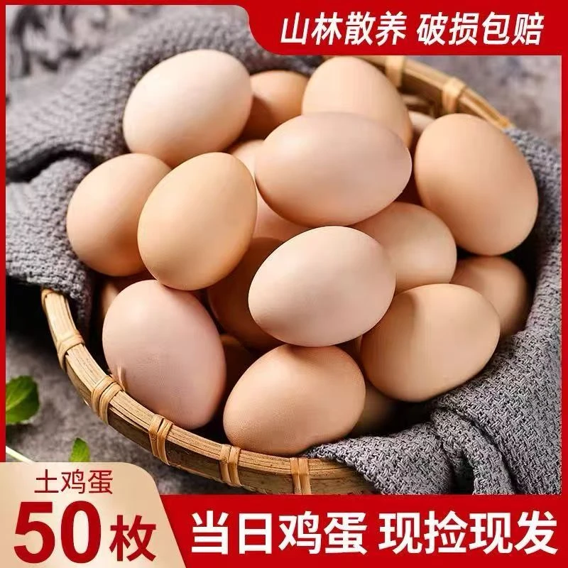 50枚正宗土鸡蛋初生蛋农家散养新鲜营养宝宝蛋月子柴鸡蛋整箱批发