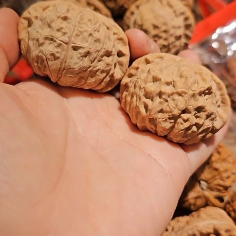 吊坠文玩核桃48南瓜