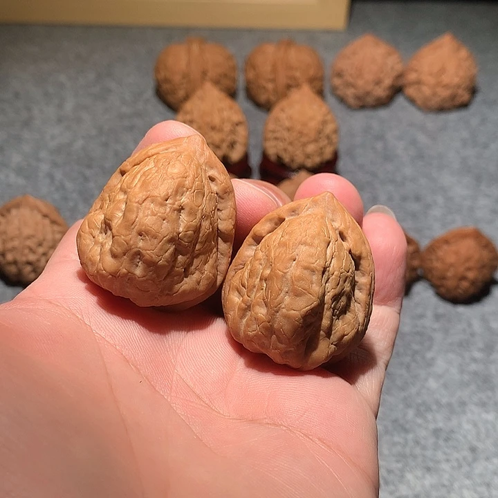 文玩核桃把件石子金蝉33