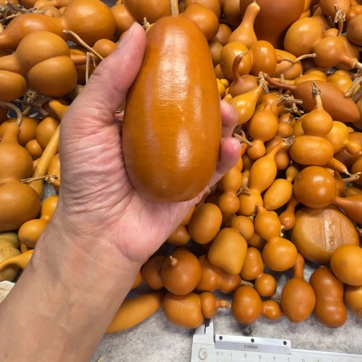 C***…谢谢的一把冬瓜葫芦CC的一把冬瓜