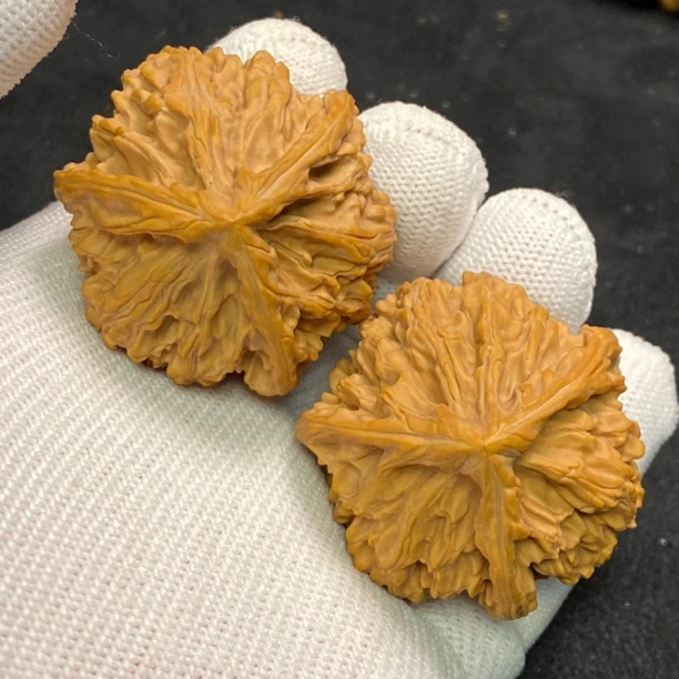 41天然玉龙粗筋三棱大奔（0907）实物实拍。边41-41-40高39/40