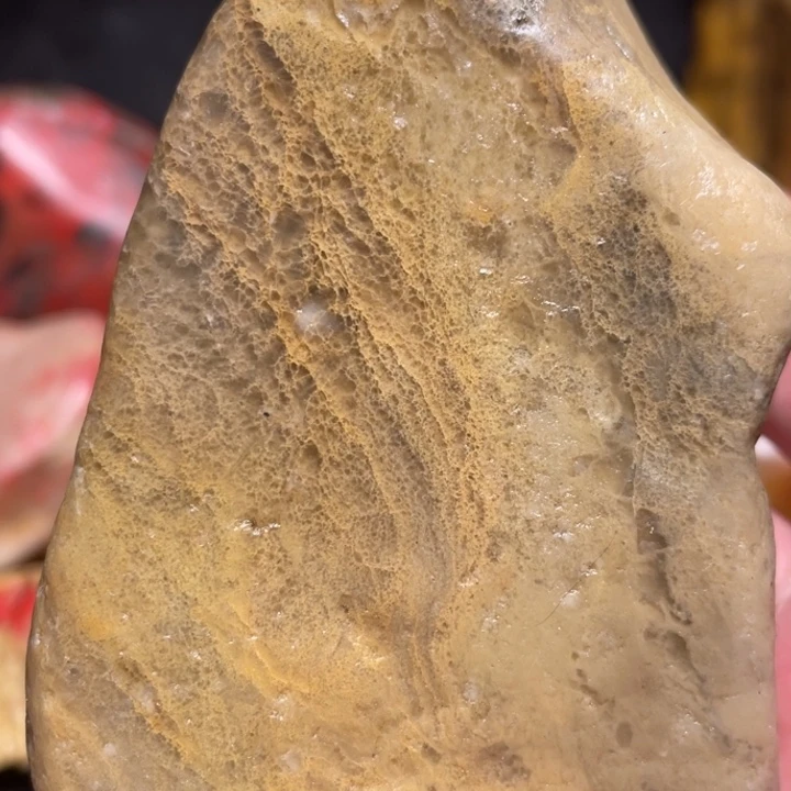 田黄石303克昌化田黄石