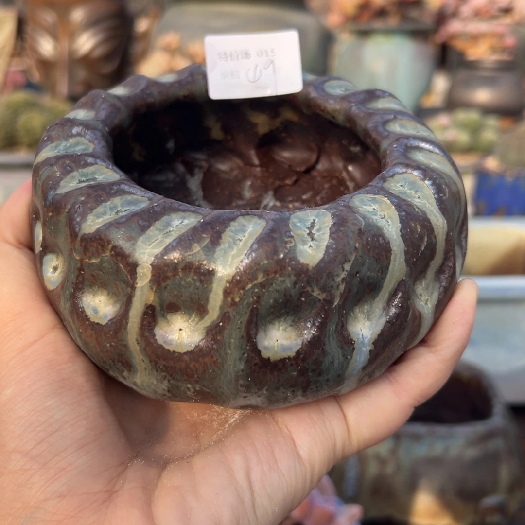 1987新中式多肉盆15