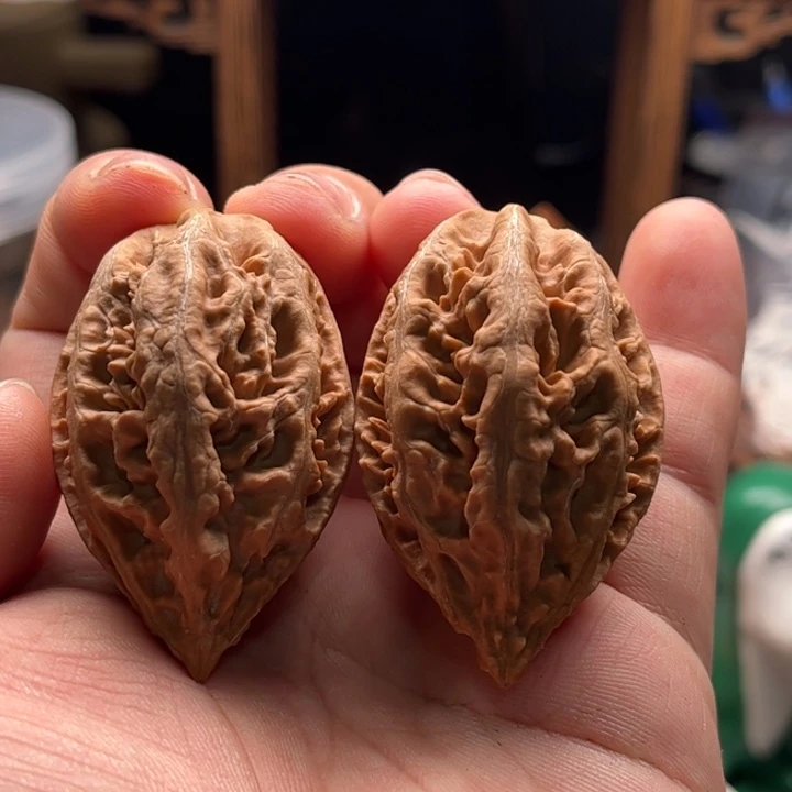 文玩核桃把件楸大胖47