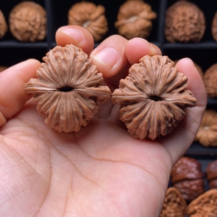 等***来吊坠龙脊菩提楼子38尺全品