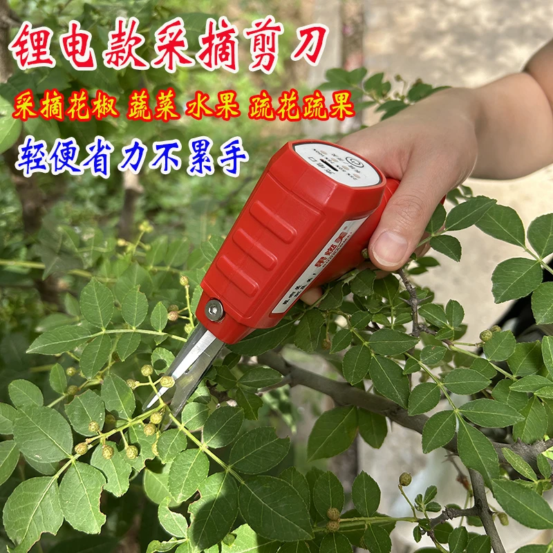 摘花椒专用神器电动采摘剪刀园艺疏花疏果摘果剪刀摘花椒水果剪子