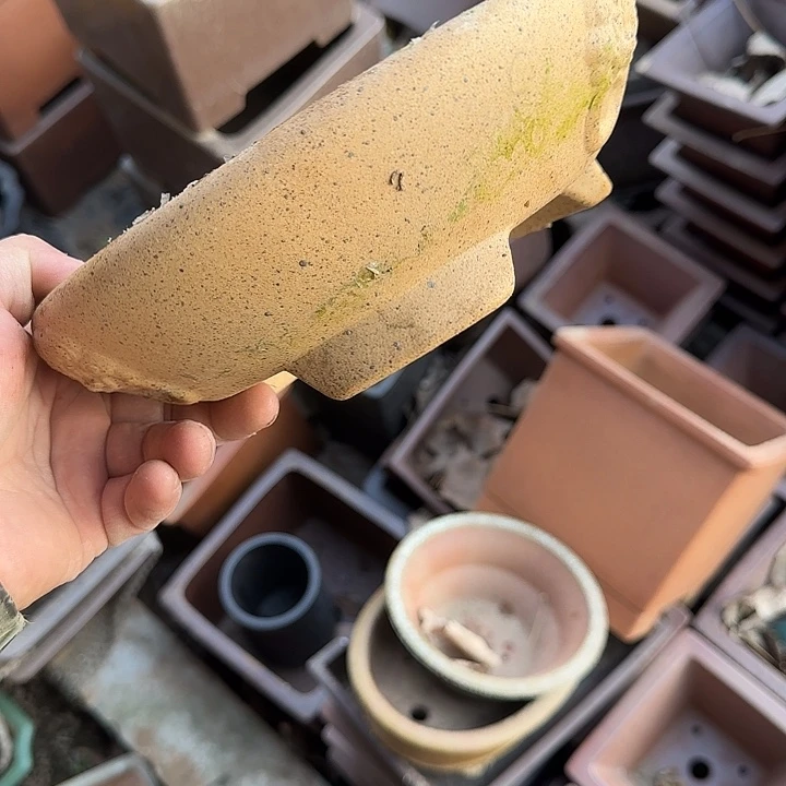 在这里我们都有很多话需要对我们讲述吗