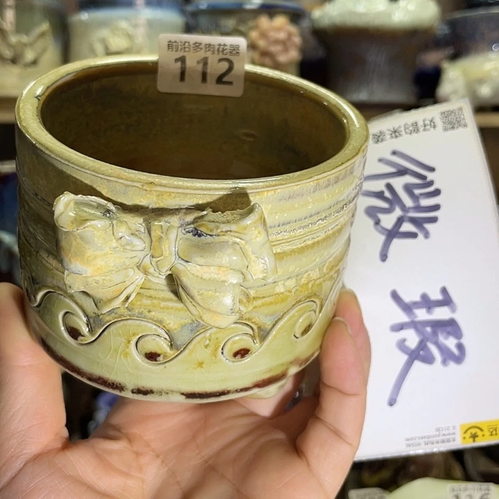 狼盆内口径9高度8