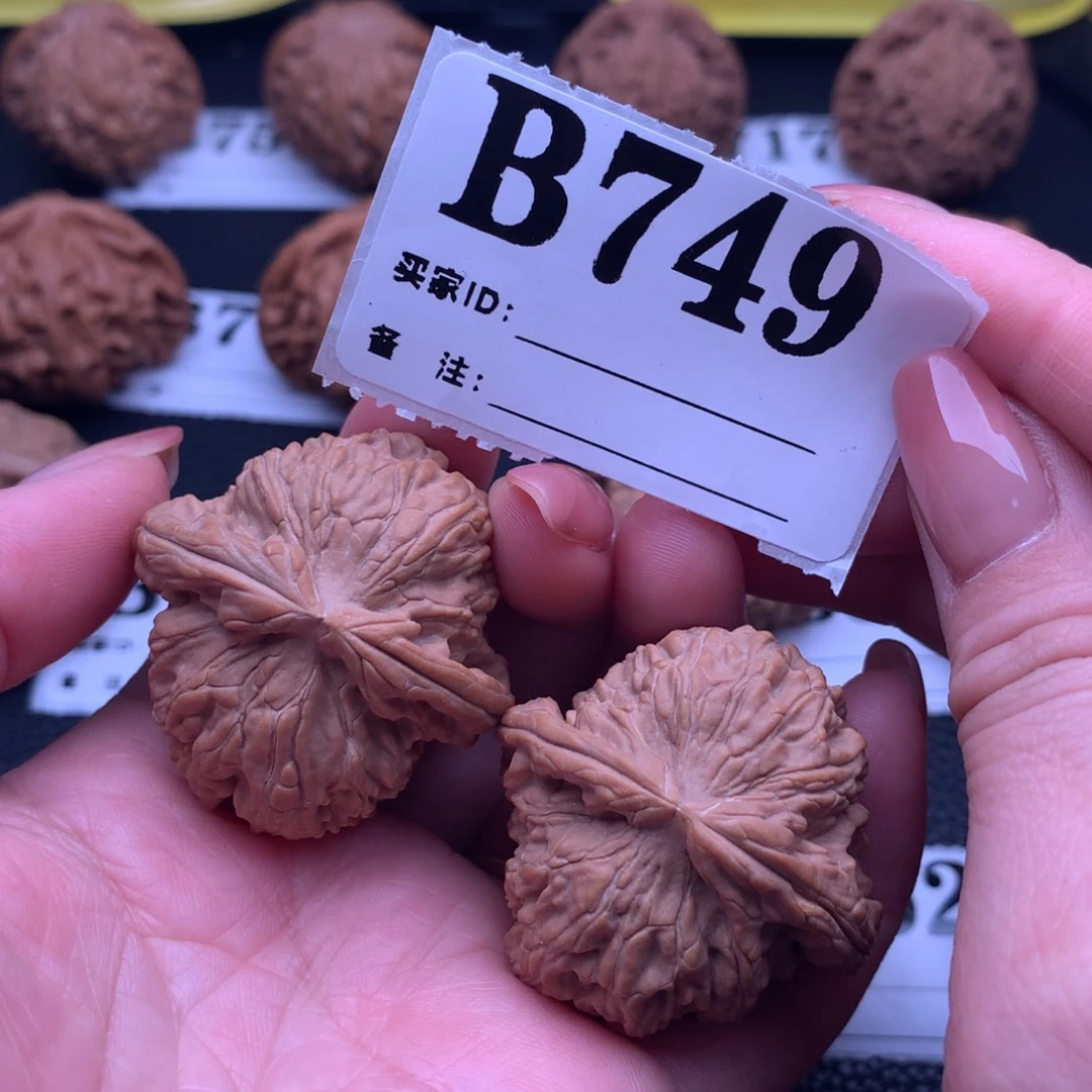 核桃白狮749链接39尺