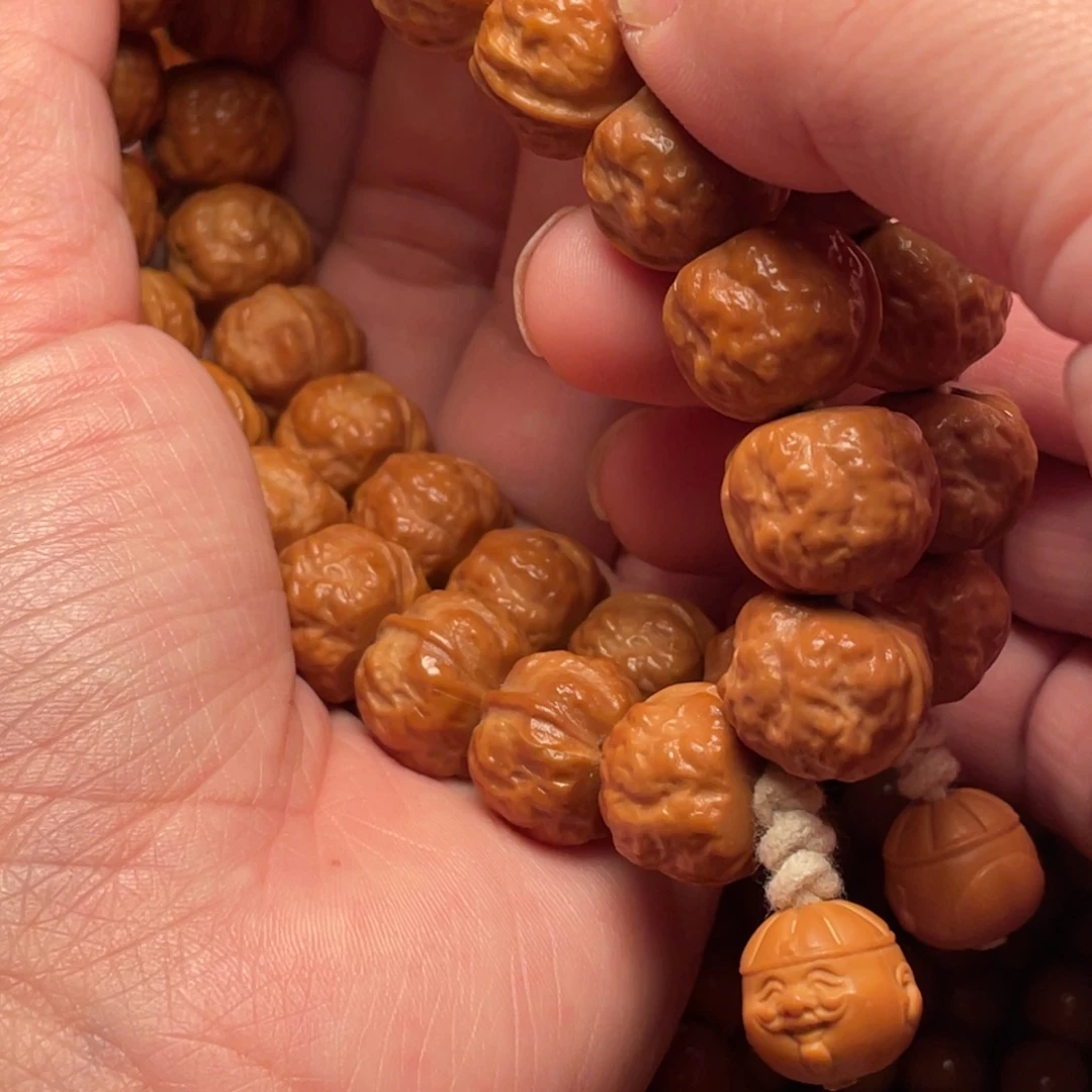 白***壶崖柏猴头核桃树122