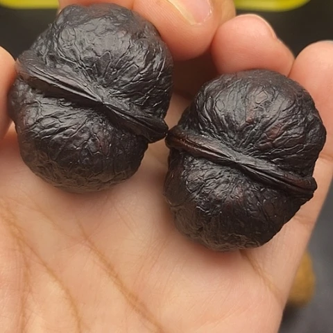 文玩核桃把件38尺元宝