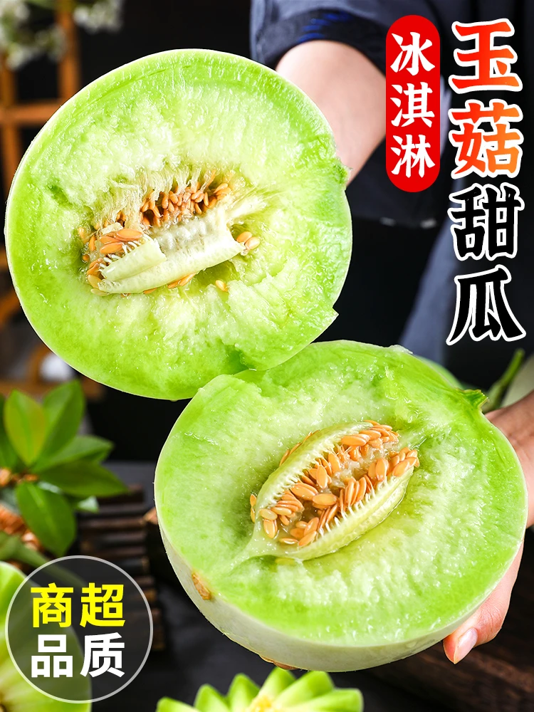 头茬玉菇蜜瓜绿肉软糯甜瓜香瓜非玫珑瓜现摘新鲜水果