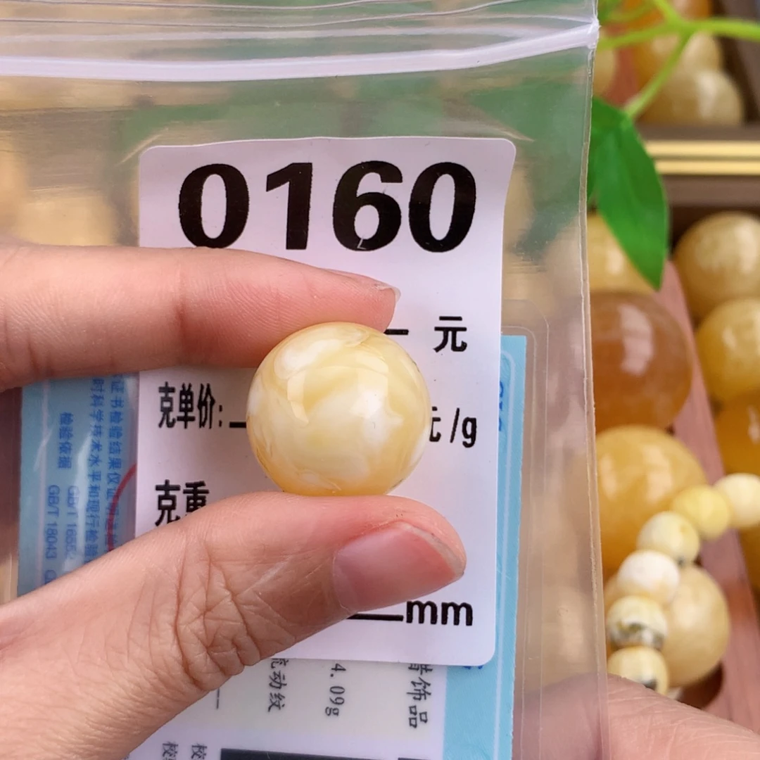 琥珀未镶嵌珠宝奇石19.3 植物