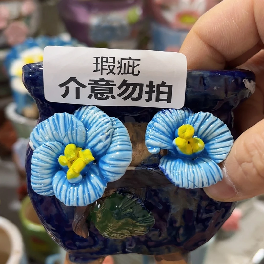 【闪购商品】红陶福利