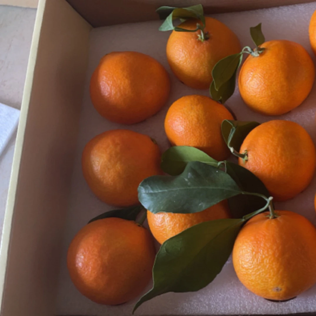 象山红美人，桔生山海间，味道自然甜！