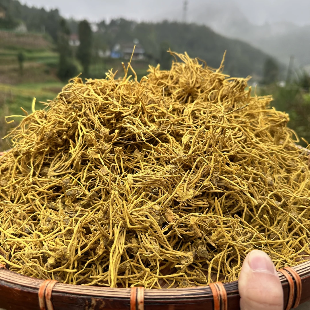 【现收正宗黄金龙须茶】泡水无硫