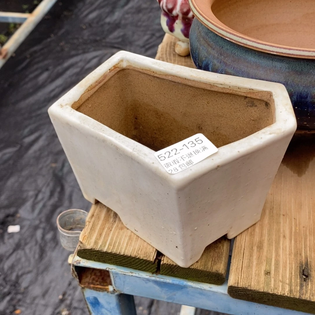 兜***米135号多肉盆口径12