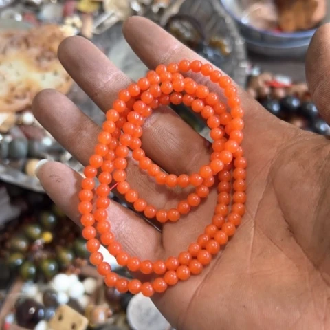 核桃木/黑胡桃（胡桃木）冬*