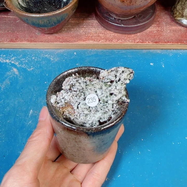 高***漫茶盏盏盏都是我的爱啊