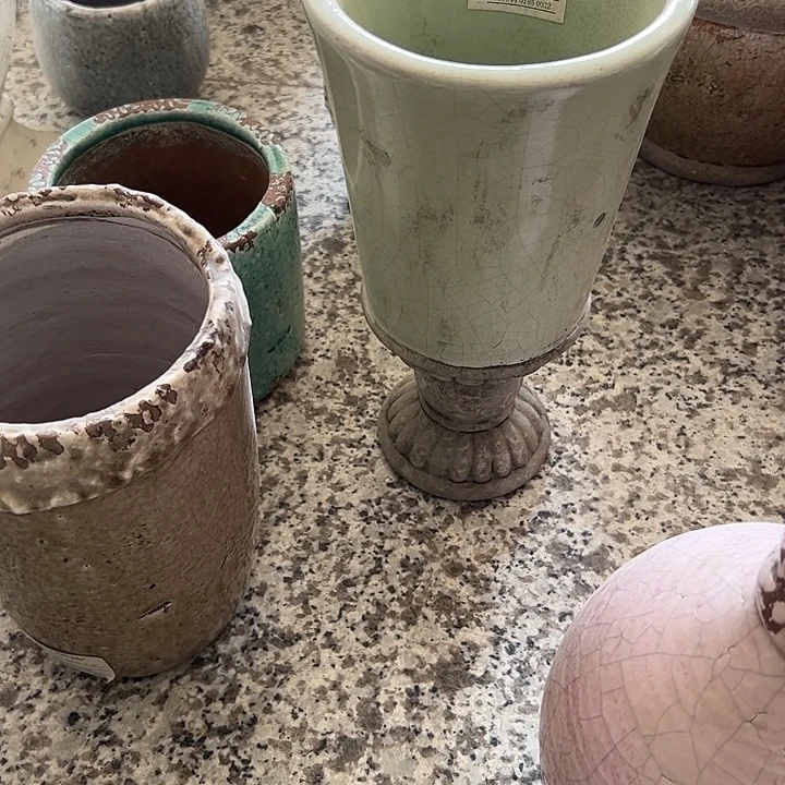 高***鱼032孤品11111111111