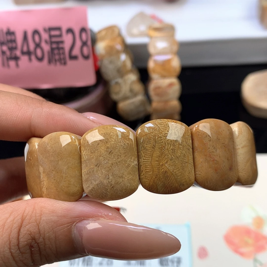 【闪购商品】颈饰未镶嵌硅化珊瑚（珊瑚玉）捡****?