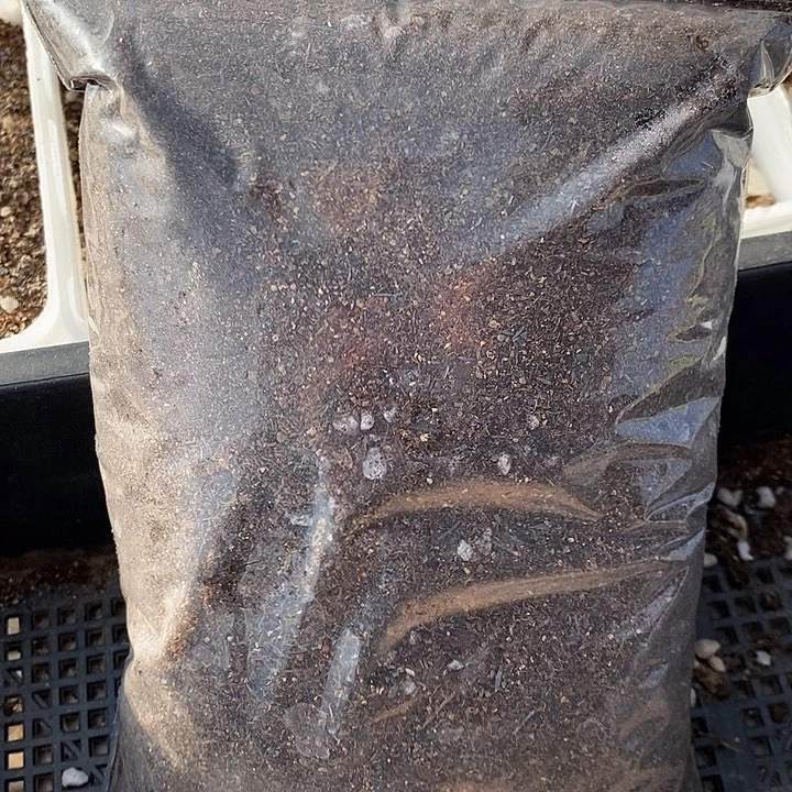 肉锥专用土1份。